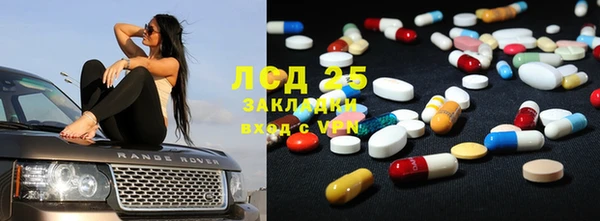 крисы Богородицк