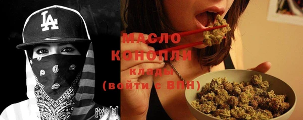крисы Богородицк