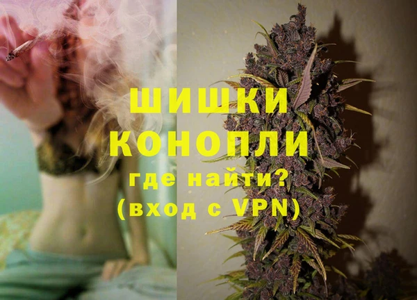 крисы Богородицк