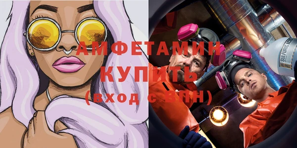 крисы Богородицк