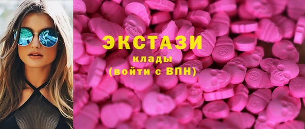 крисы Богородицк