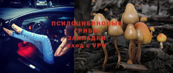 марки nbome Богданович